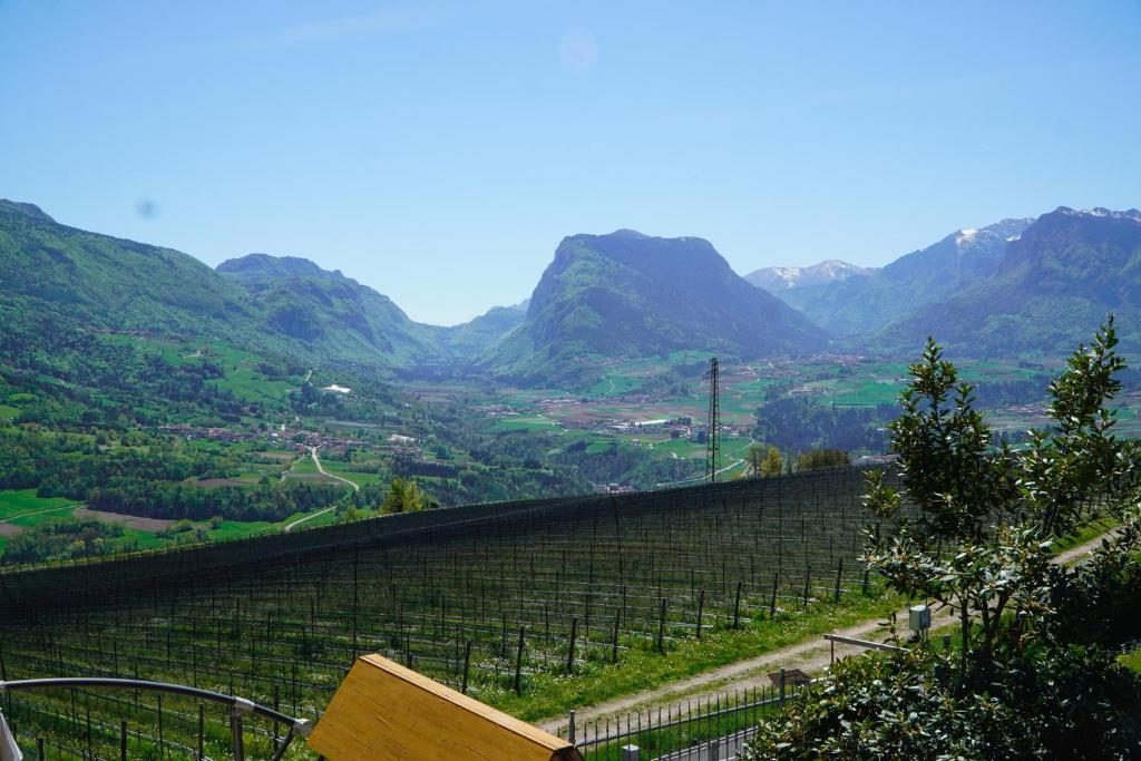 La valle e i vigneti visti dalla terrazza